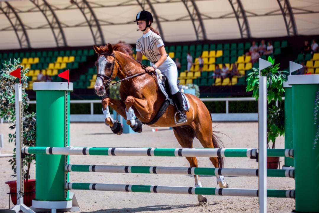 Камень Гочьир