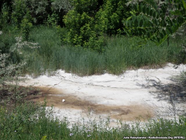 Загрязненный ставок в&nbsp;Днепропетровске